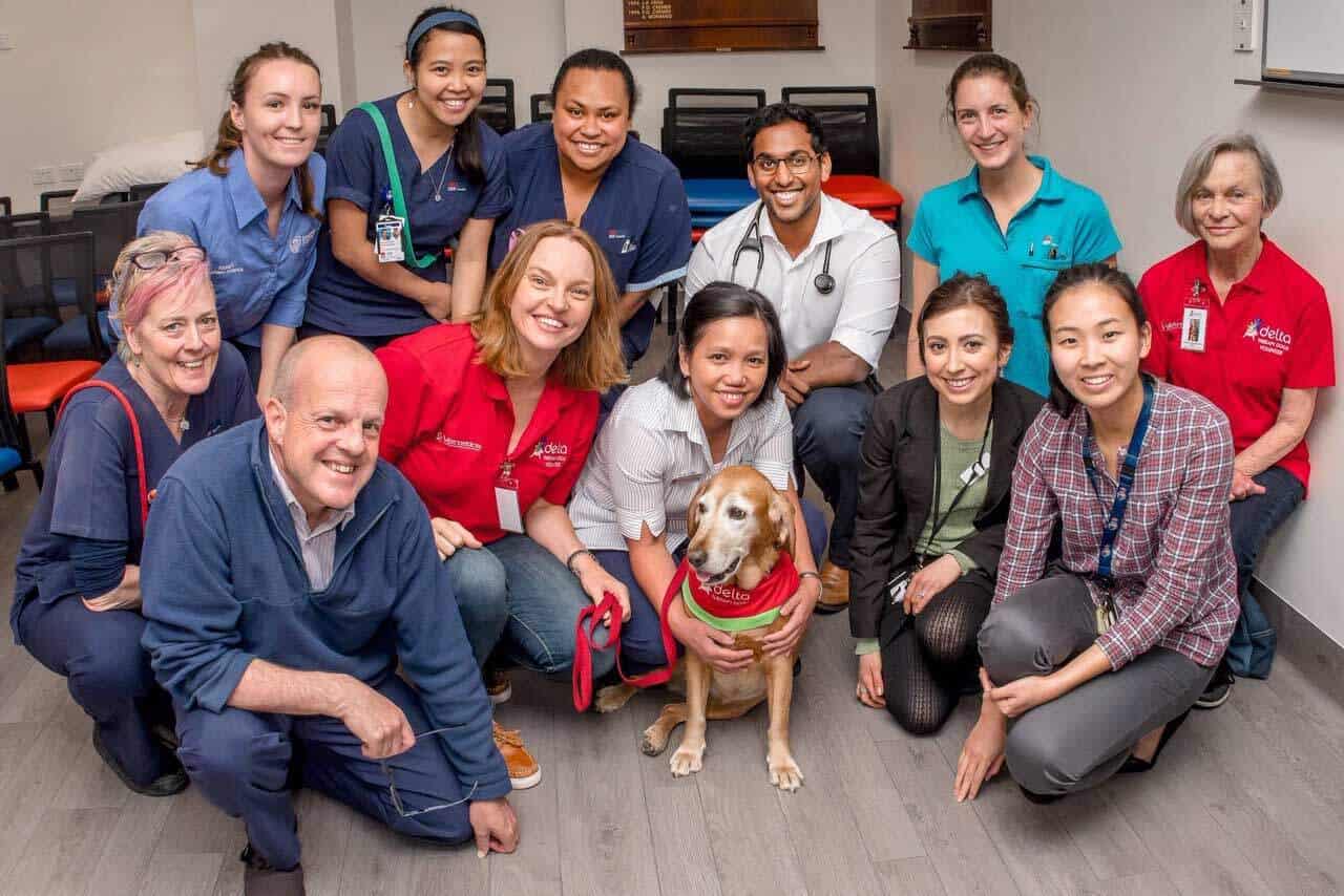 Millie the therapy dog visits sick patients
