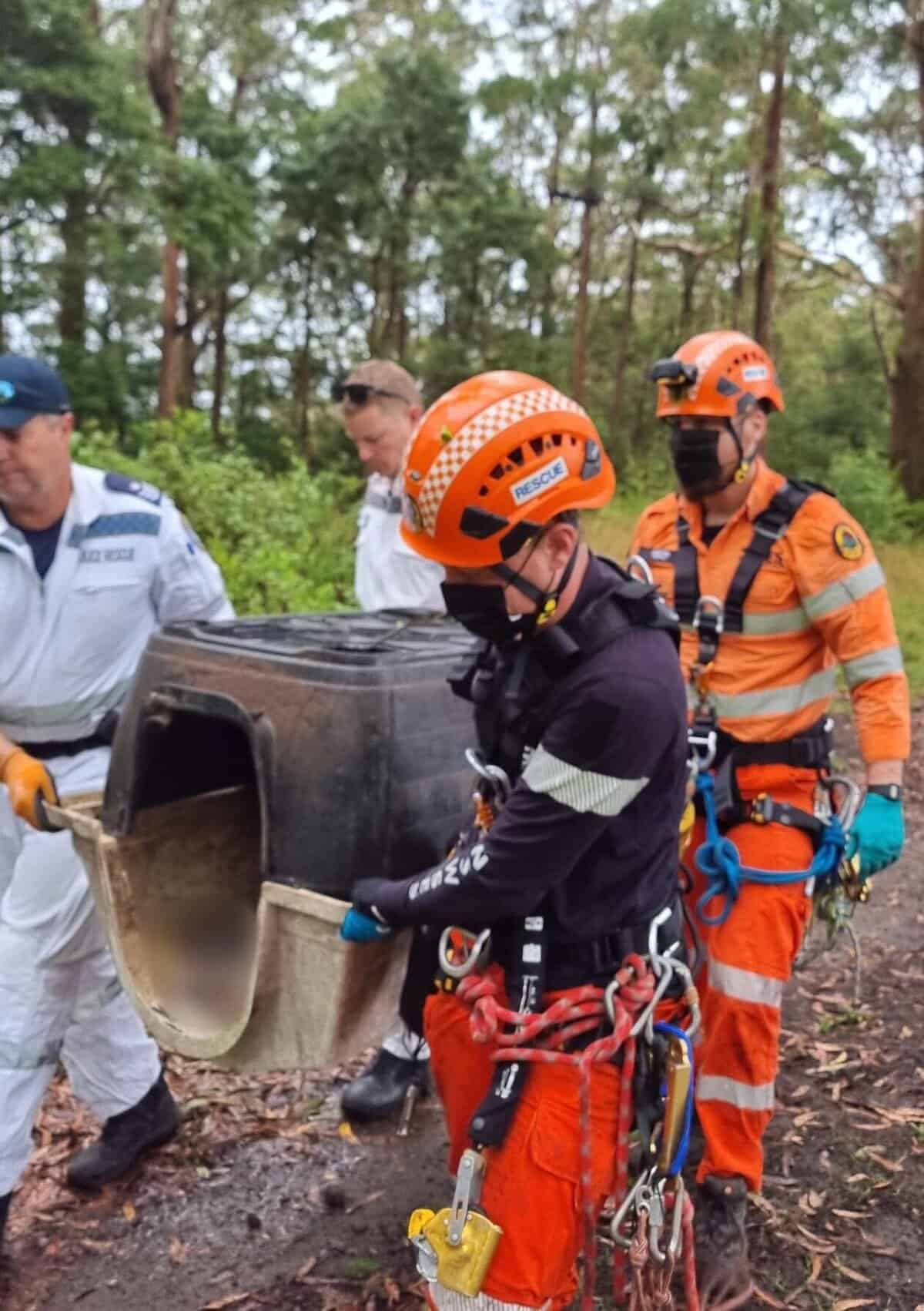 NSW Police investigate animal cruelty after dog death