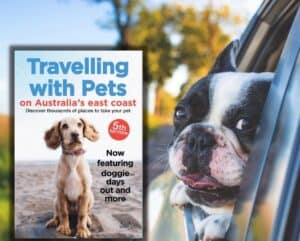 Travelling with pets is a book about pet-friendly holidays