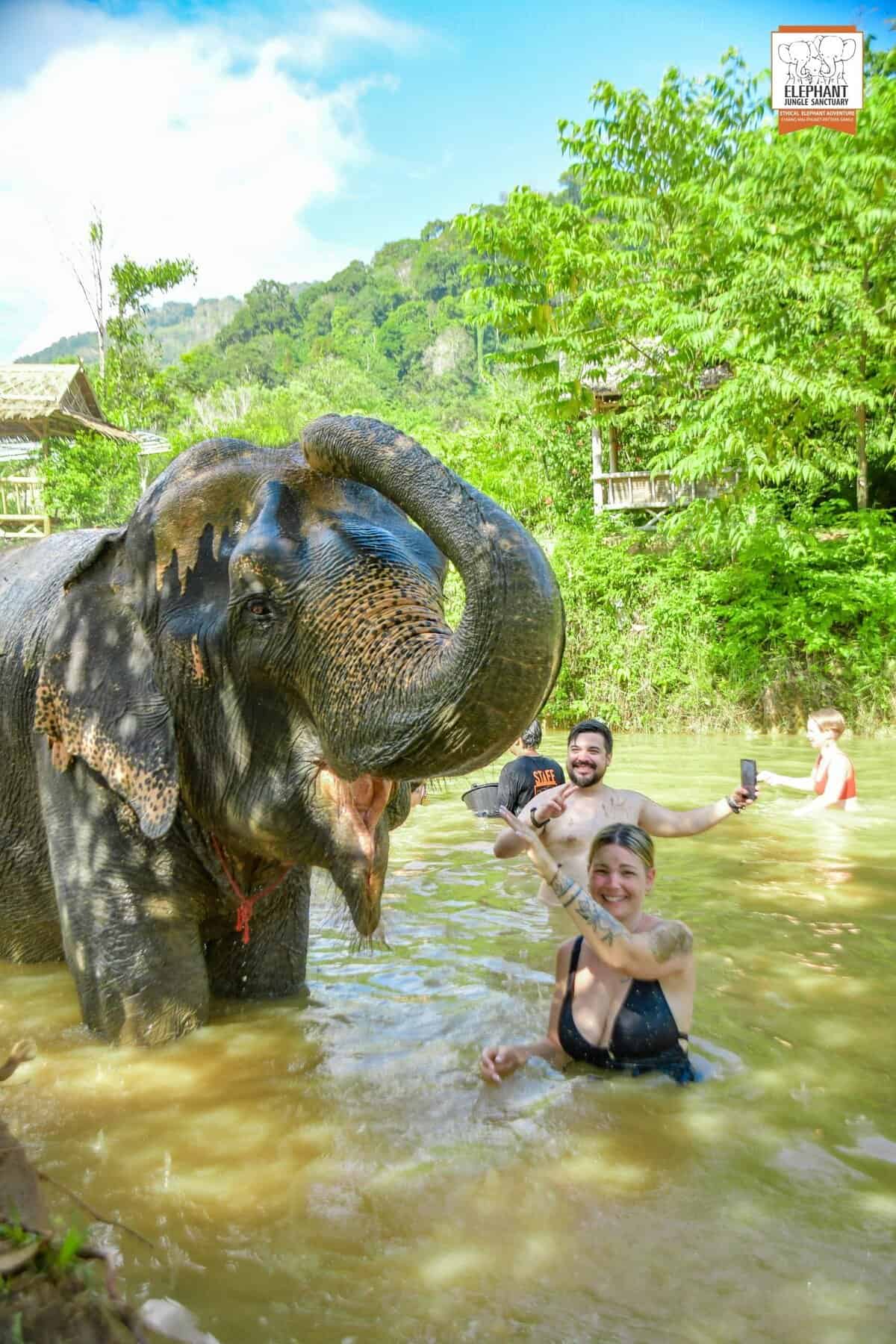 Elephant Jungle Sanctuary in Phuket