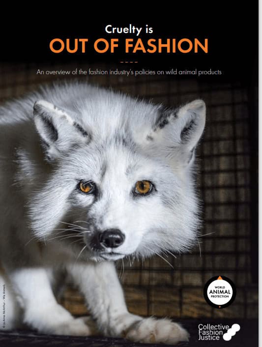 World Animal Protection and Collective Fashion Justice report into the cruelty in fashion and push for cruelty-free fashion