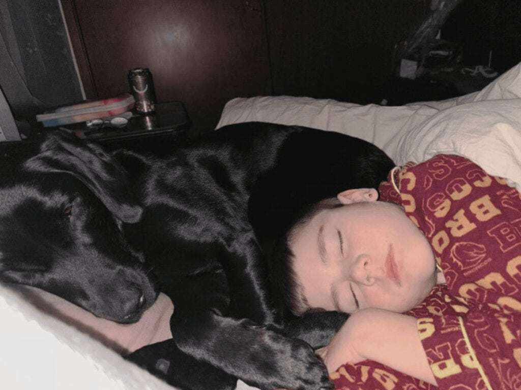 young boy sleeps with his medical assistance dog Animal Friendly Life