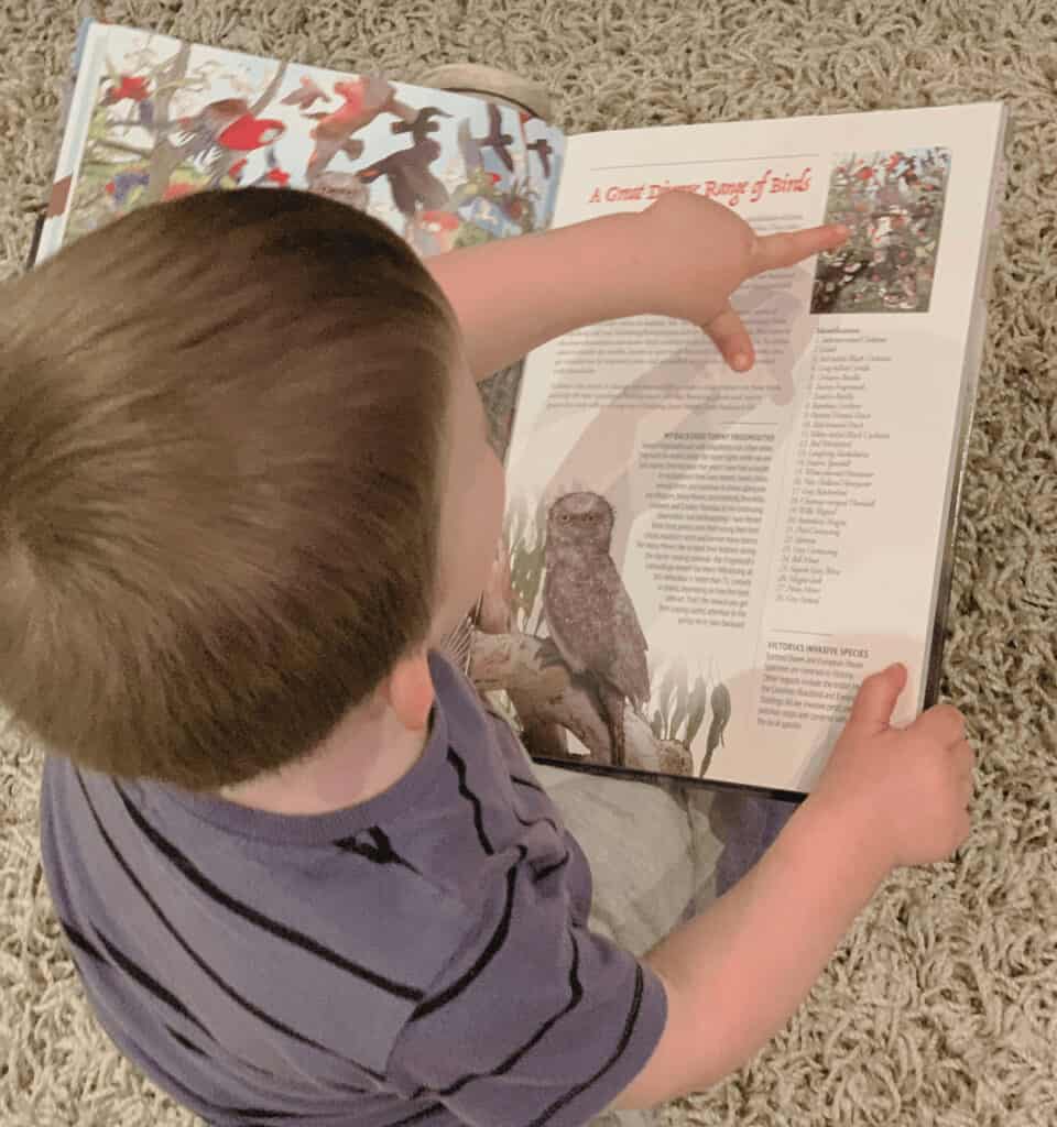 Child reading Myke's book for teaching children about animals