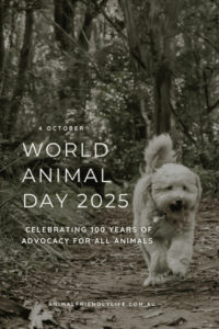 small white dog running happily through bushland representing the 100 year anniversary of World Animal Day 2025
