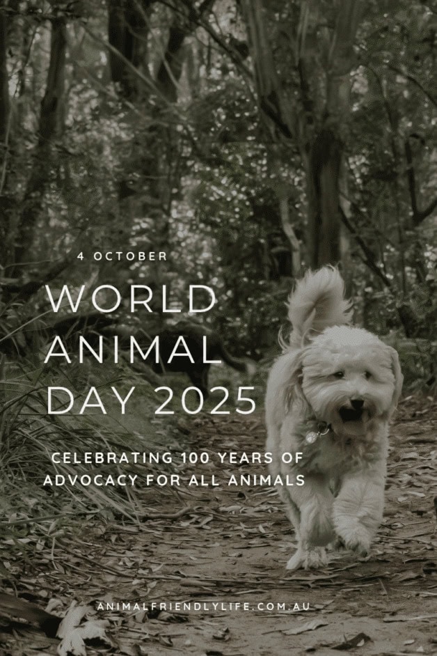 small white dog running happily through bushland representing the 100 year anniversary of World Animal Day 2025